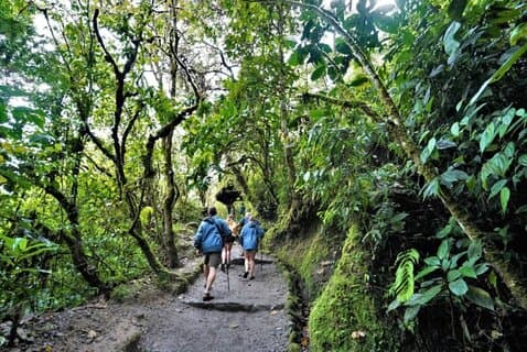 Quito Discovery: Städte, Märkte, Dschungel und mehr