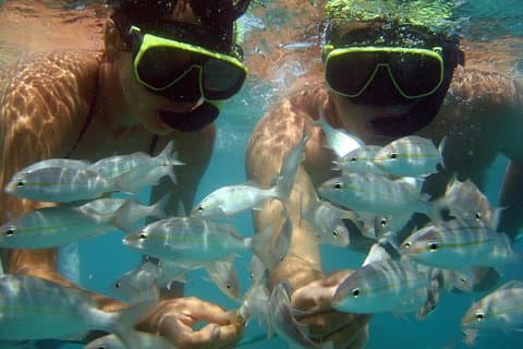 From Natal: Tour To Maracajaú With Catamaran Ride and Snorkling