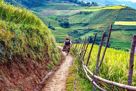 4 días de caminata por el Parque Nacional Hoang Lien hasta el valle de Ban Ho