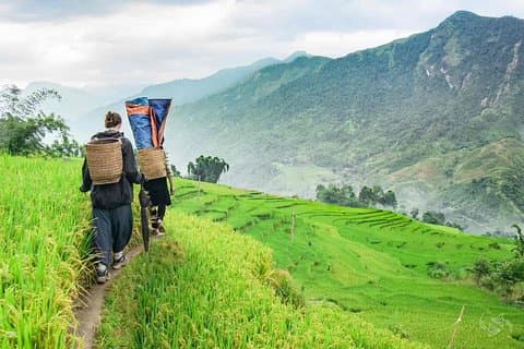 5 giorni Trekking attraverso il Parco Nazionale Hoang Lien al Lao Cai