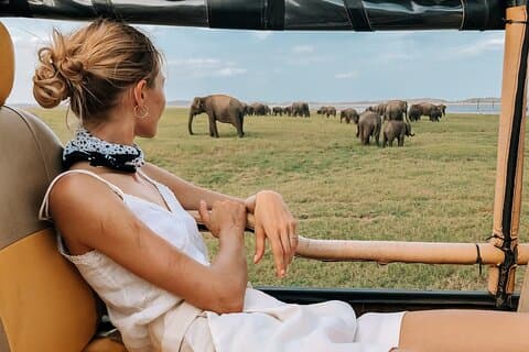 Kandy til Trincomalee Shuttle & Safari Drive