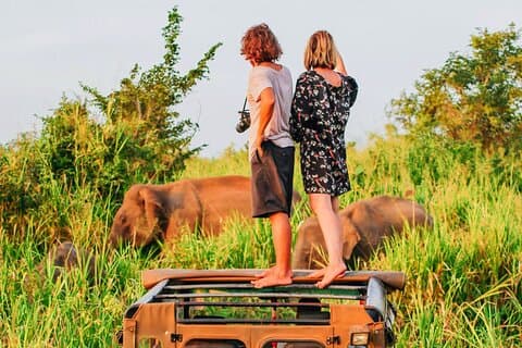 Ella till Mirissa Shuttle & Udawalawe Safari Drive med frukost