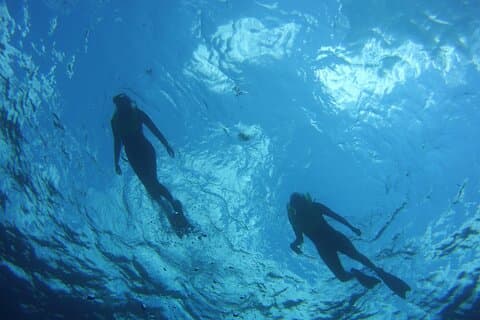 Private Snorkel to Key Largo Reef for up to 12 - INCLUDES GEAR!