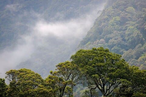 Kodiyaragala mandaram Nuwara Camping Night Tour vanuit Kandy