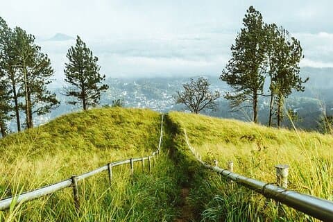 Hanthana 1-daagse wandeling vanuit Kandy