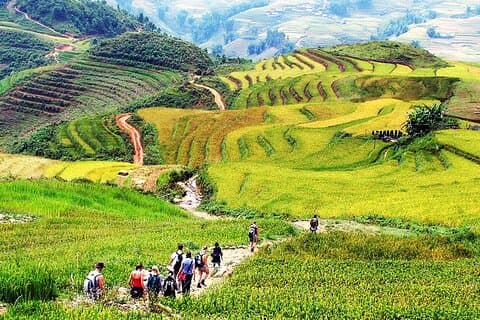 6 dagar genom Muong Hoa-dalen till Hoang Lien National Park-vandring