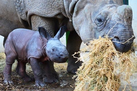 Angebot Sommer Terra Natura Eintrittskarte