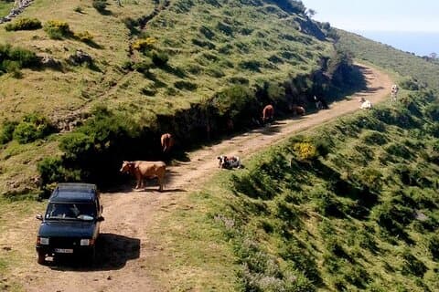 Jeep Tour Câmara de Lobos - Halvdag