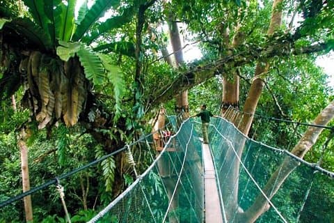 Sabah Highlights Adventure 7D/6N