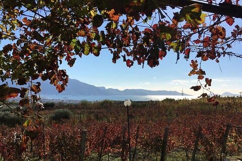 Pompéi, gastronomie et vin