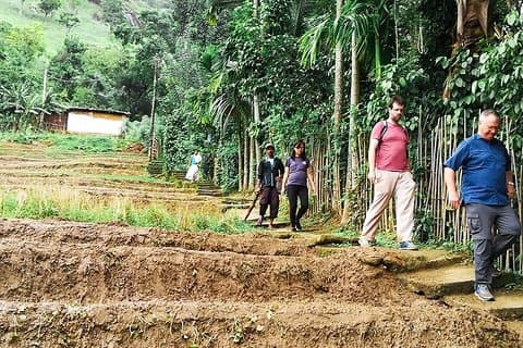 Promenade dans le village de Kandy avec un local