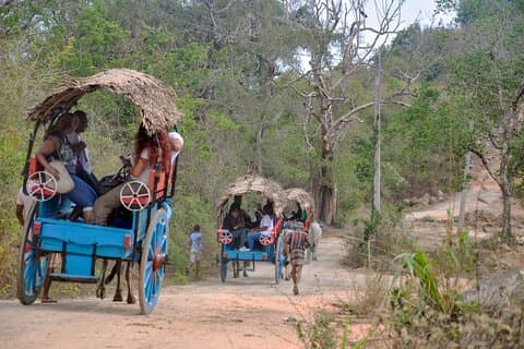 Sigiriya Rock and Village Tour fra Habarana