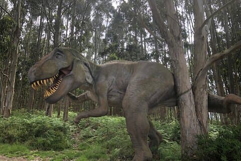 Wandelen met dinosaurussen langs de kust van Asturië
