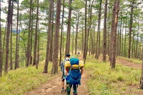 Full day Dalat Langbiang trekking tour