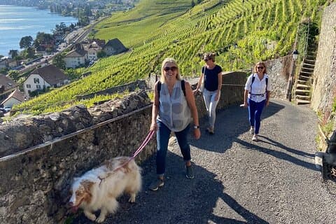 Vine Stories: Lavaux & Lutry-vinvandring