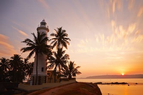 Southern Coast Highlights and River Safari from Beruwala