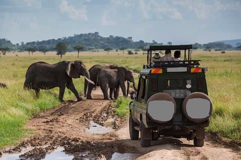 Melhor safari de vida selvagem de 6 dias da Tanzânia - Comfort
