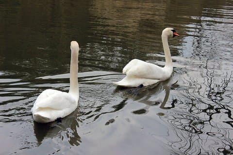 Sapanca højdepunkter ;Privat guidet tur