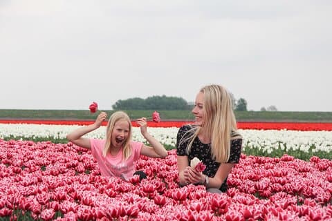 Keukenhof and Zaanse Schans Windmills Guided Tour with local