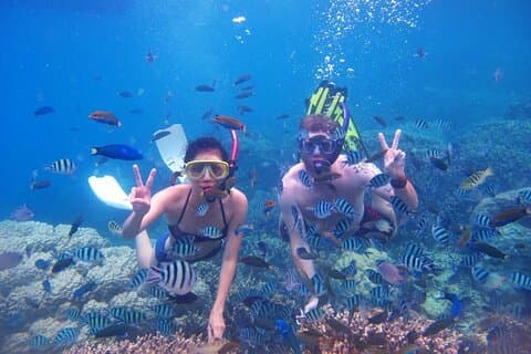 Nha Trang Island og snorkling heldagstur