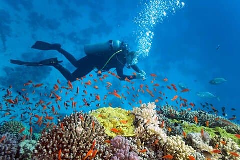 Nha Trang Diving a Mun Island tour di un'intera giornata