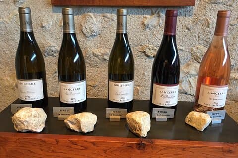 Dagtour naar Sancerre Vineyard met privéchauffeur