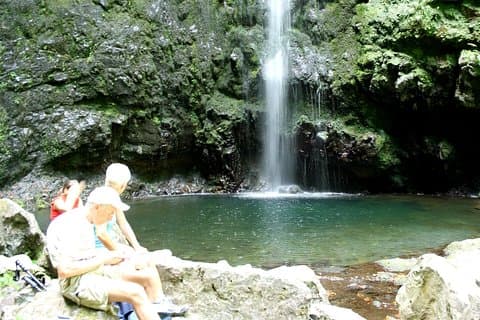 Passeggiata tra Queimadas e Caldeirão Verde Levada