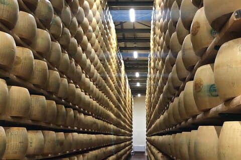 Food and wine tour from Bologna