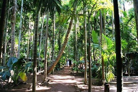 Hoogtepunten van Zuid-Goa met Spice Plantation Tour (begeleide dagtour met de auto)