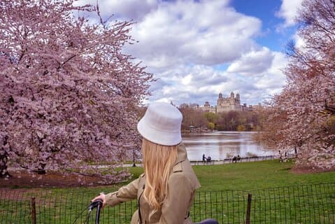 Det beste av Central Park Bike Tour