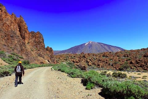 Tour Privado de Dia Inteiro ao Topo do Teide: faça caminhadas e retorne no teleférico