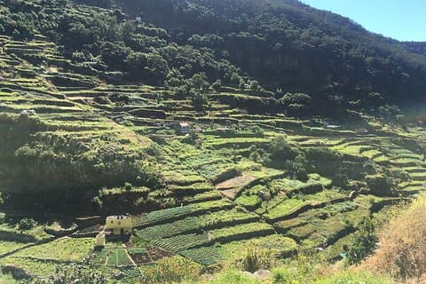Maroços - Paseo por el valle de Mimosa