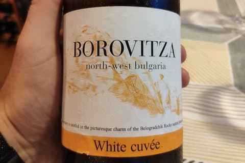 Vidin & Belogradchik Udsøgt vinsmagning
