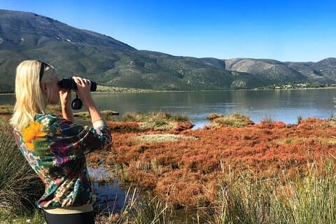 Albânia: passeio de jipe para Cape Rodon Bay com almoço e degustação de vinhos Fullday de Tirana