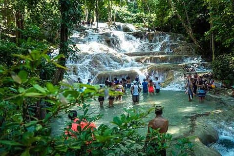 Dunn's River Falls plus Luminous Lagoon (Glistening Water)Private Tour