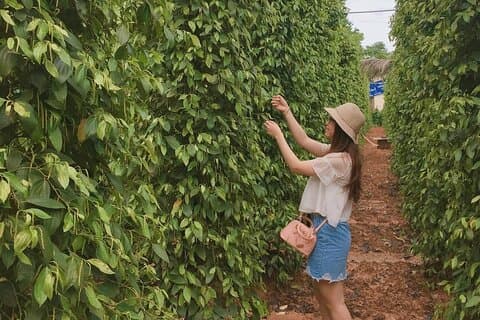 Passeio de piquenique em Phu Quoc no córrego Da Ban dia inteiro