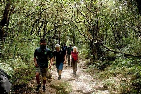 Vandring og trekking i Knuckles Mountain Range