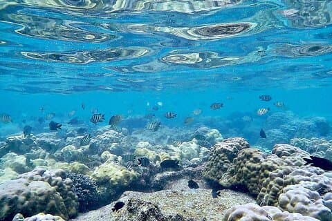 Passeio de dia inteiro em Phu Quoc, mergulho com snorkel e pesca ao norte