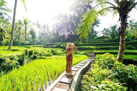 Eat Pray Love Bali Private Tour - Ganzer Tag