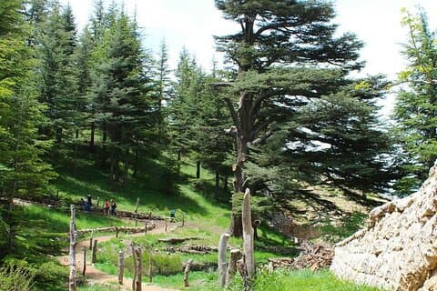 6-tägige Highlights der Libanon-Tour ab Beirut mit Abholung