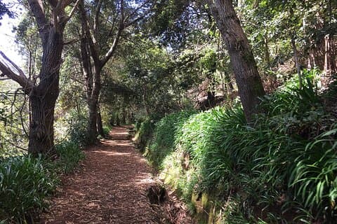 Vale Paraiso - Paradise Valley Walk