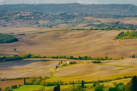 Montepulciano: Vinsmagning og frokost i en typisk vingård