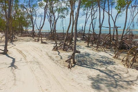 Private Buggy Tour A Tatajuba and Ilha Do Amor
