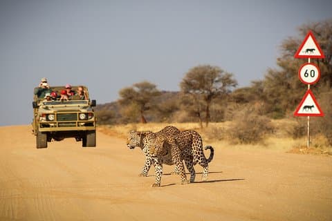 9 Day Etosha, Skeleton Coast and Sossusvlei Camping and Lodge Safari