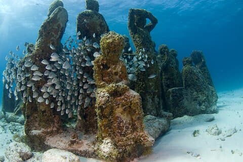 Isla Mujeres Catamaran Tour avec plongée au MUSA, déjeuner buffet et bar ouvert