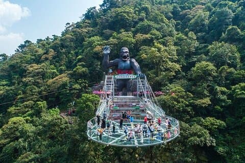 Guangzhou Private Day Tour to Gulong Gorge Glass Bridge