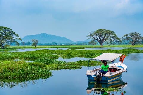 Boat Tour in Tissamaharama Lake