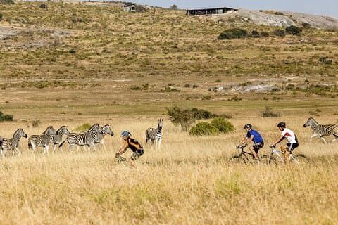 Safari Cycle en !Khwa ttu San Heritage Experience