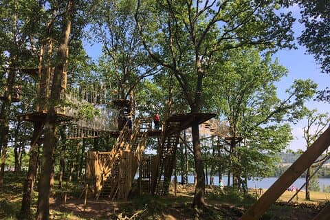 Tree Top Adventure in Moisson