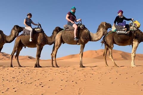 Esperienza di Marrakech: escursione a bordo di cammelli PalmGrove